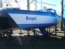 Estrella beim Verkäuer